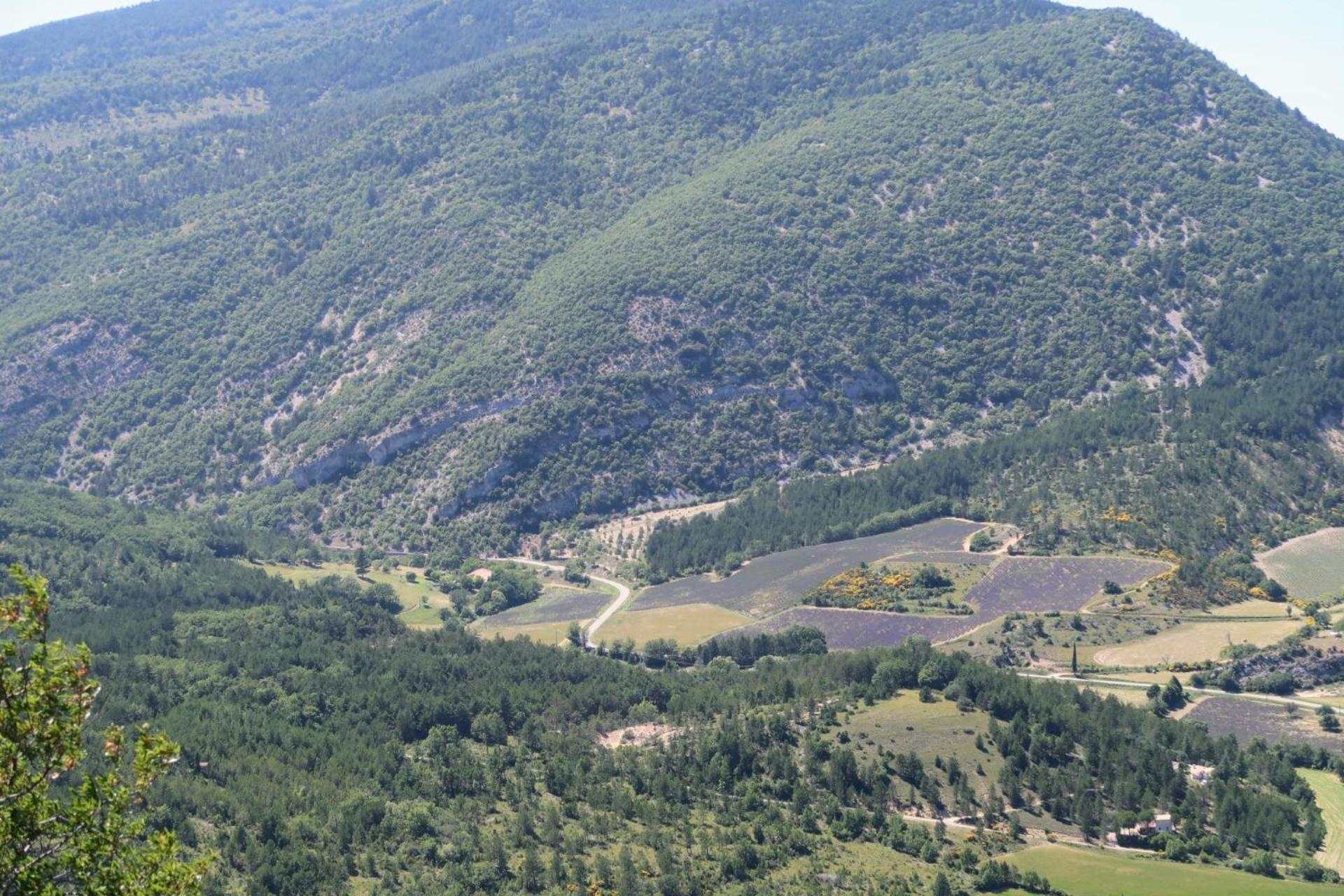 La Terrasse D'Olea, Au Coeur Du Village Buis-les-Baronnies Luaran gambar
